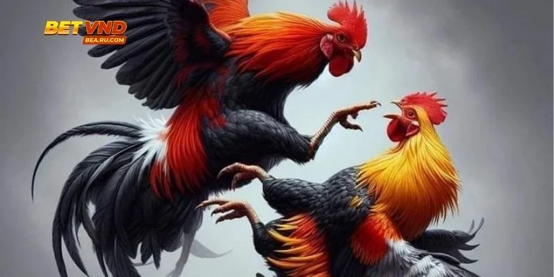 Các loại tỷ lệ kèo thường gặp trong đá gà