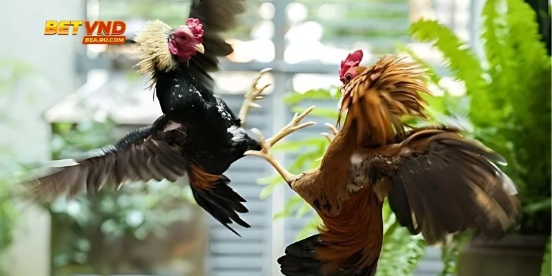 Giải thích màu sắc để người mới dễ tiếp cận