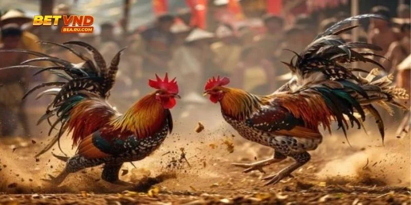 Người chơi nhận ưu đãi hấp dẫn